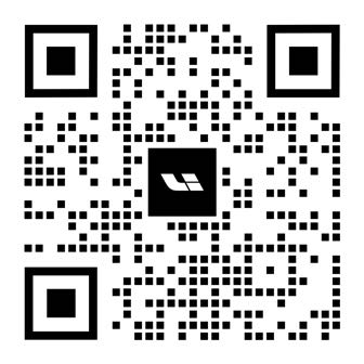 俄罗斯专享会294VIP汽车